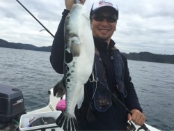 「LaGooN」蒼陽丸 日和号　 釣果