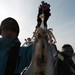 エヌスタイル 釣果