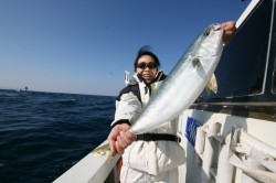 オーシャンズ 釣果