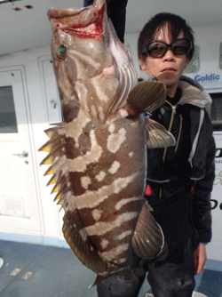 海峡 釣果