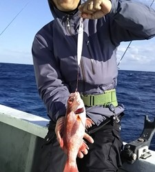 なぎさ丸 釣果