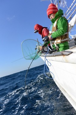 宝生丸 釣果