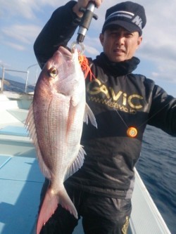 桃太郎 釣果