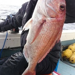 宝生丸 釣果