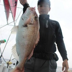 桃太郎 釣果