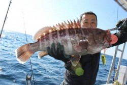 桃太郎 釣果