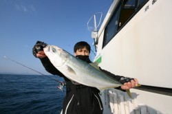 オーシャンズ 釣果