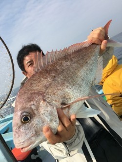 みやけ丸 釣果