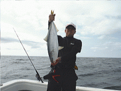 浩敬丸 釣果