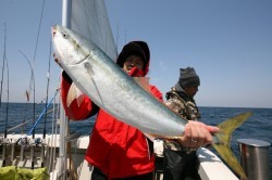 オーシャンズ 釣果