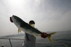 オーシャンズ 釣果