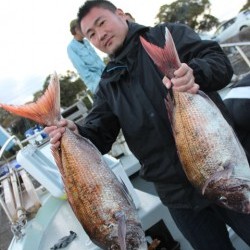 桃太郎 釣果