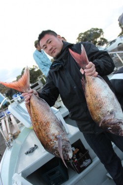 桃太郎 釣果