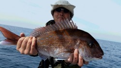 つれ鷹丸 釣果