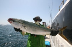 オーシャンズ 釣果