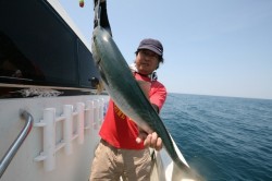 オーシャンズ 釣果