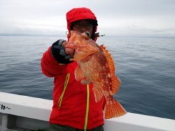 芳美丸 釣果