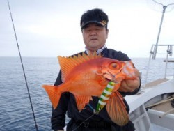 芳美丸 釣果