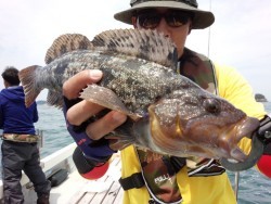 MATSUSHIMA SEANET 釣果