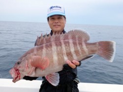 芳美丸 釣果