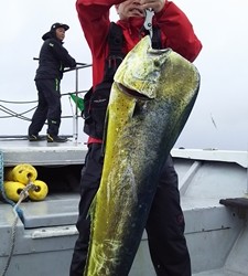 なぎさ丸 釣果