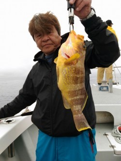 海龍丸 釣果