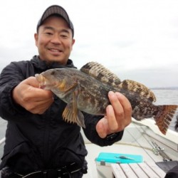 MATSUSHIMA SEANET 釣果