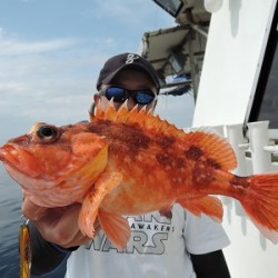 ワープゾーン 釣果