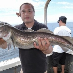 ワープゾーン 釣果