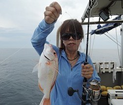 ワープゾーン 釣果